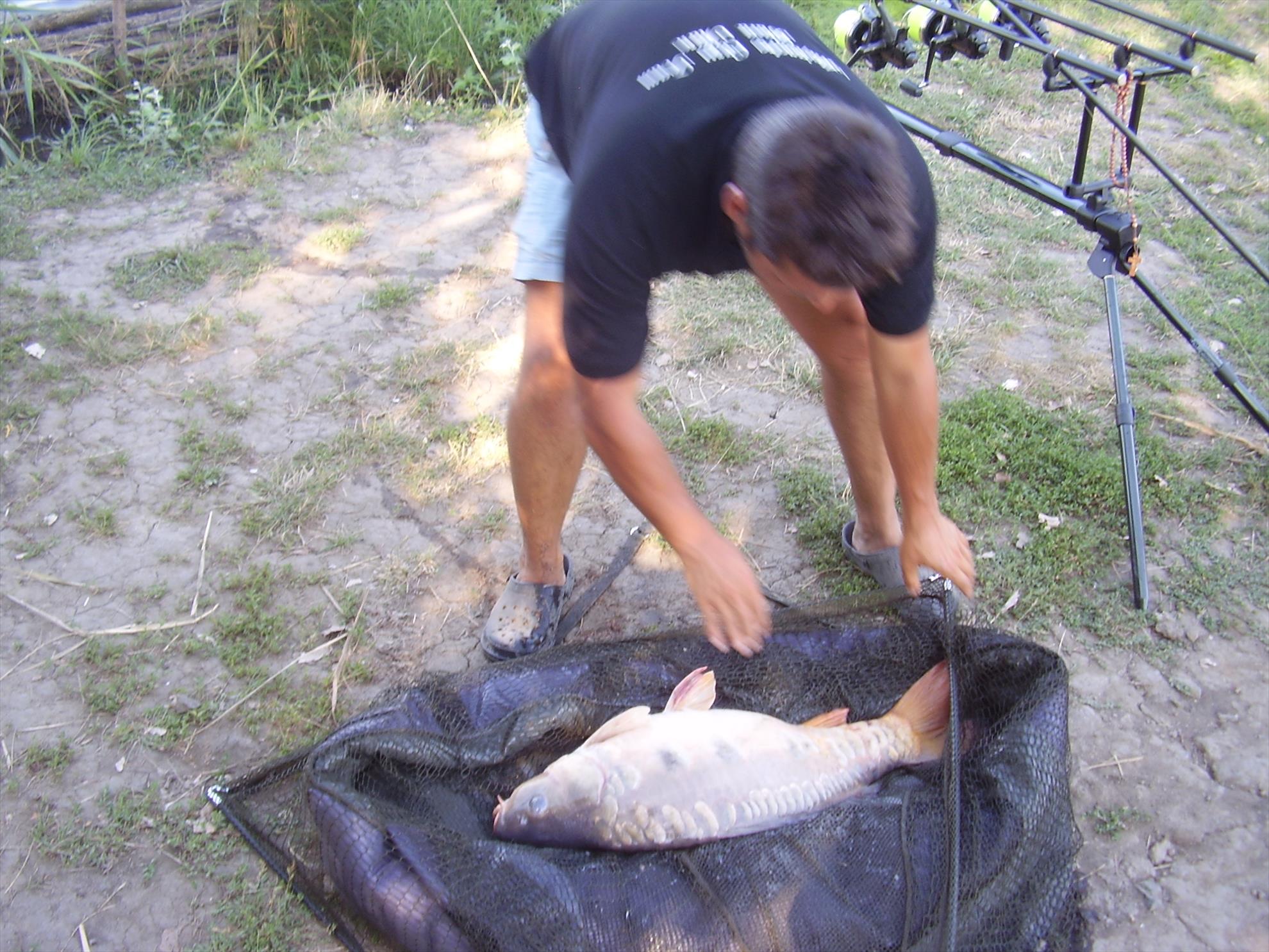 Alejandro Carp Team - Ohat Ungaria 2013 - p5080034.JPG